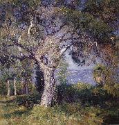 Guy Rose The Oak oil painting picture wholesale